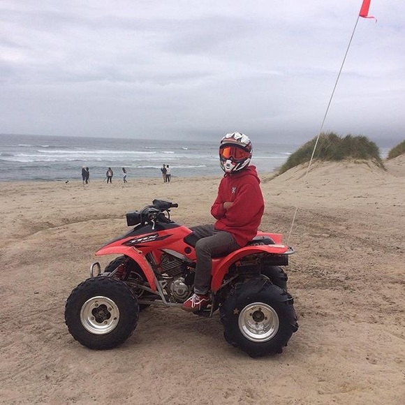 Meet your Posher, Oscar - Picture 1 of 1